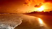 Wallpaper Kalender
