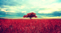 Wallpaper Kalender